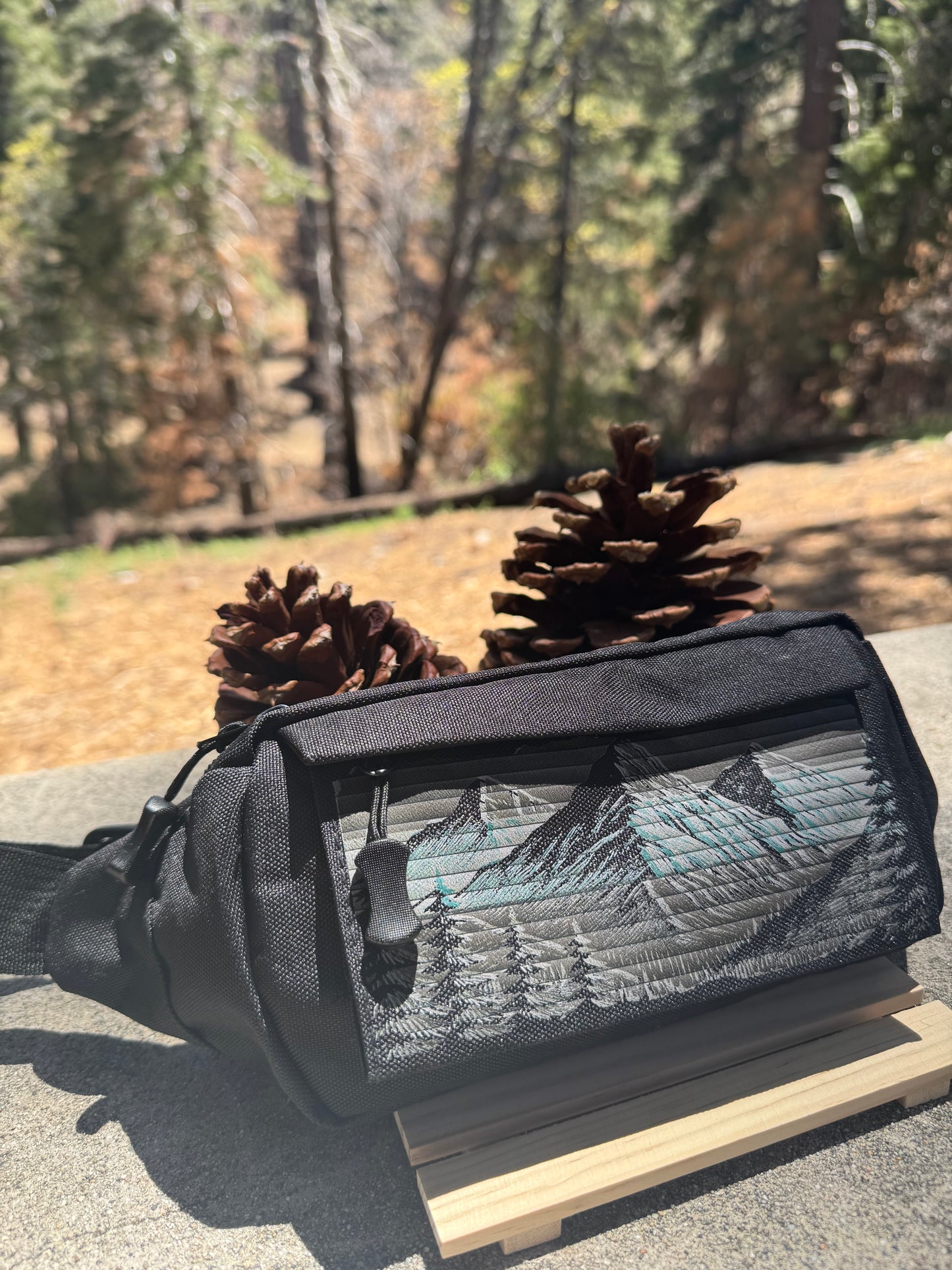 Sports Fanny Pack – Black | Forest Mountain