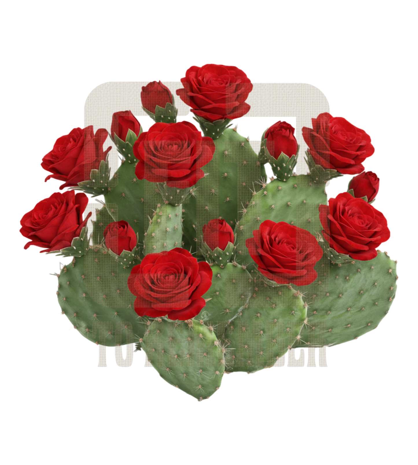 Desert Rose Cactus PNG Design